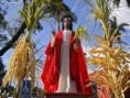 /album/fotogaleria/domingo-de-ramos-jpg/